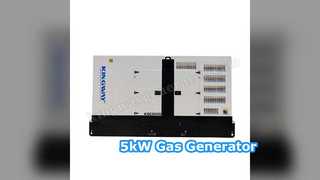 Zuverlässige 5-kW-Gasgenerator-Stromversorgungslösung