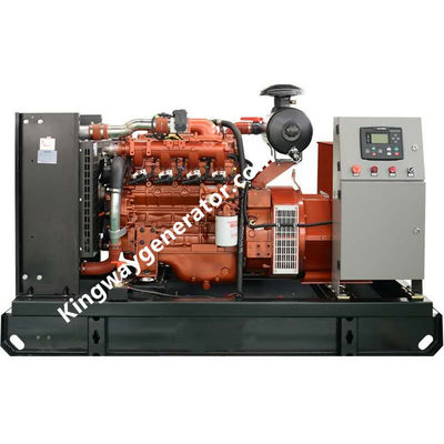 3000 Watt-- Enginegenerator fertigte Farbhohen Standard besonders an