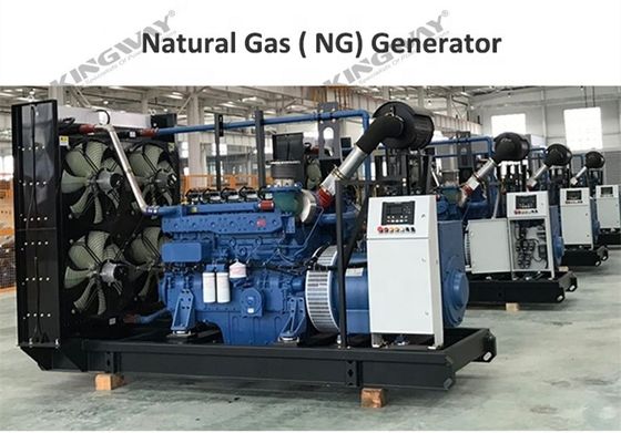 CE-ISO-Elektrisitätssicherungsgenerator mit Gas-Erdgasgenerator