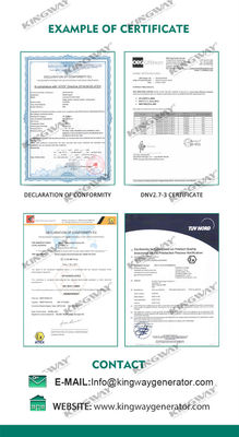Offshore Plattform Canopy 25kva 400v 50hz 3-Phase 4-Draht-Explosionssicherheit Dieselmotor ATEX zertifizierte Zone 2 Offshore-Generator